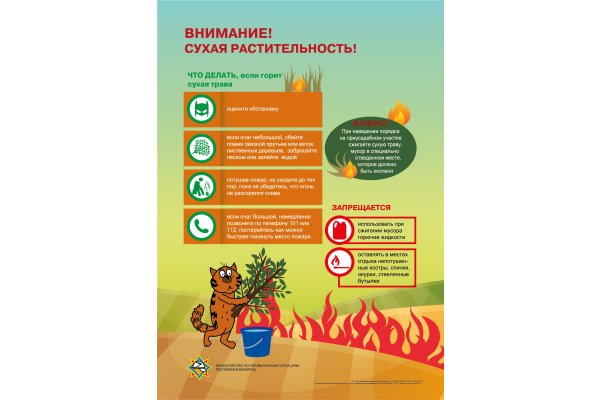 Весенние пожары: опасности и меры предосторожности